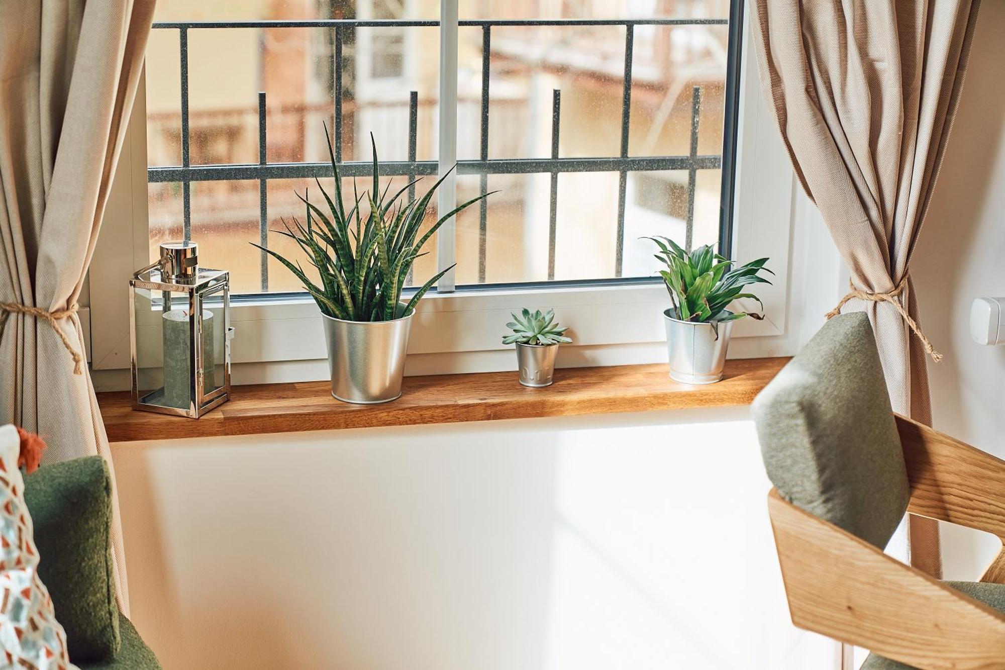Tyzenhauz Apartments Siemiradzkiego Street Krakow Ngoại thất bức ảnh